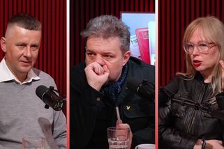Letargie, paralýza. K bezpečnosti se stavíme tak, jak Rusko chce, říká exministr Petříček - Novinky